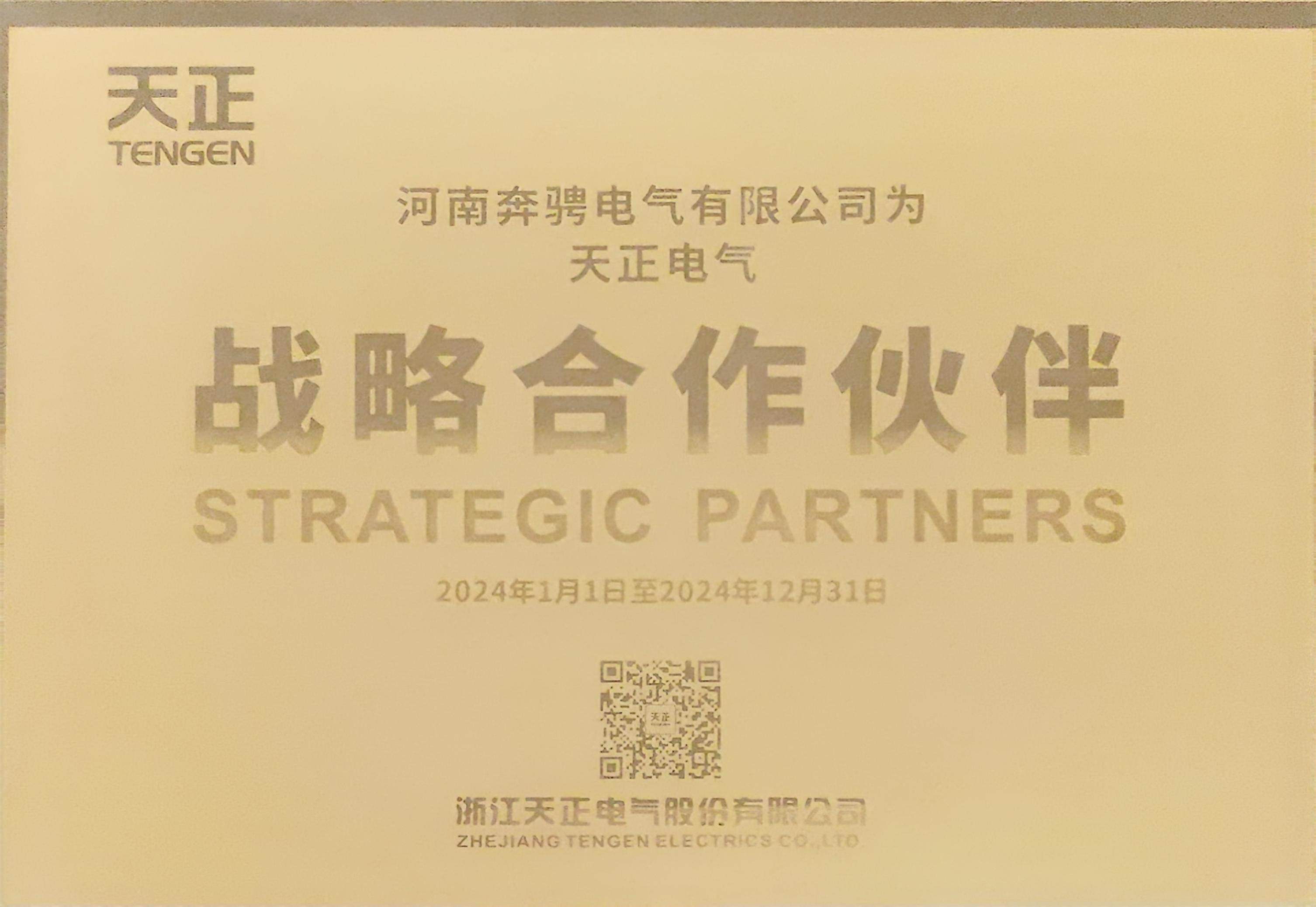 天正战略合作伙伴